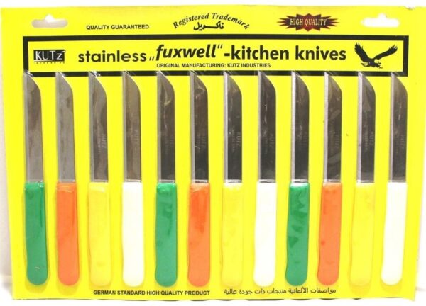 STAINLESS STEEL MULTI-PURPOSE KNIVES PACK OF DOZEN - Image 2