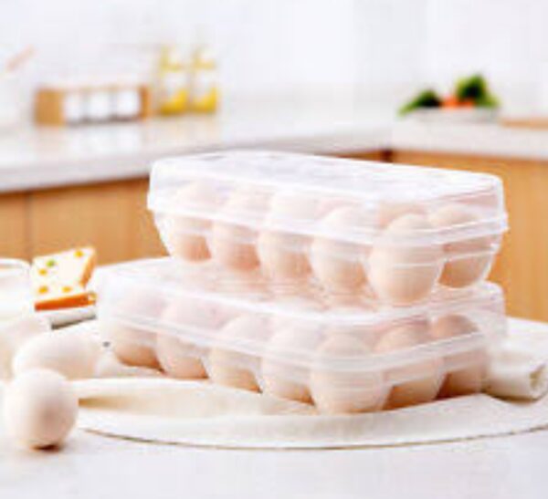 EGG STORAGE BOX