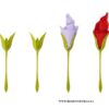 4PC BLOOM SERVIETTE HOLDERS - Image 3