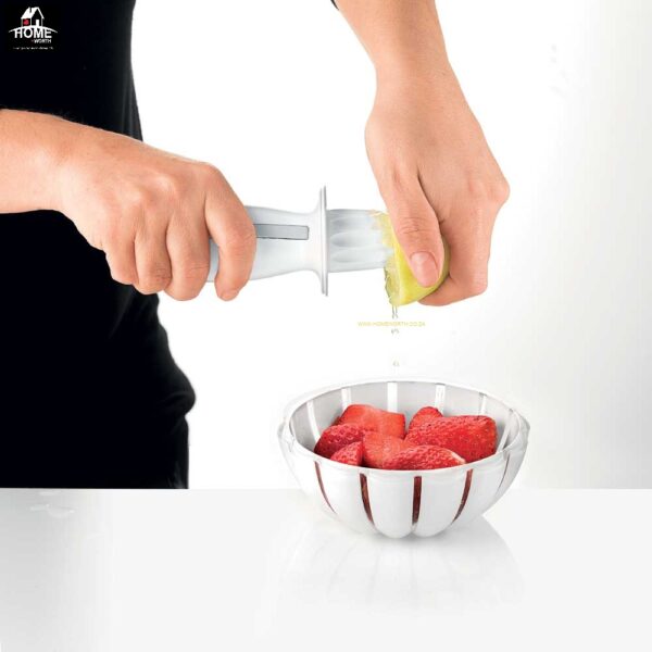 SQUEEZE & GRATE - Image 4