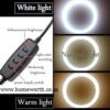 RING FILL LIGHT WITH TRIPOD FLOOR STAND – SELFIE LIGHT - Image 4
