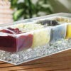 FOUR COMPARTMENT CONDIMENT TRAY WITH ICE CHAMBER